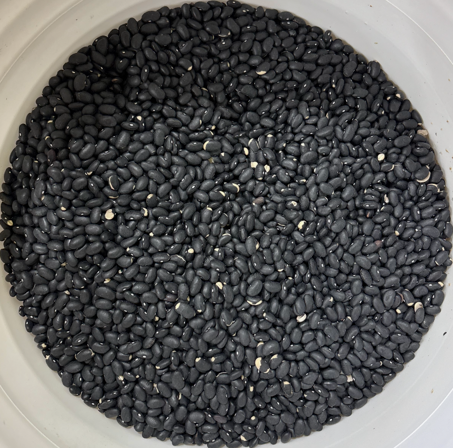 NON GMO Black Beans