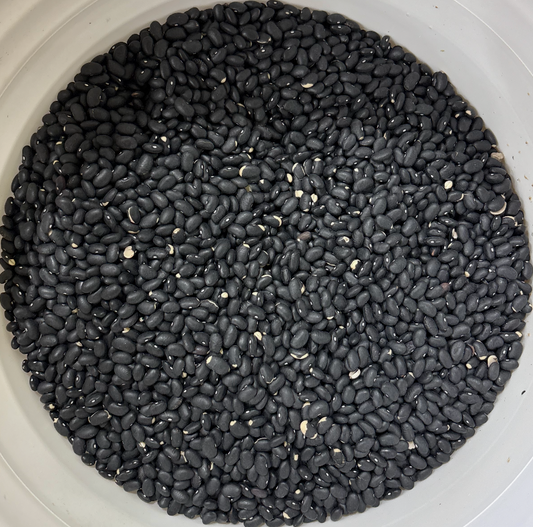 NON GMO Black Beans