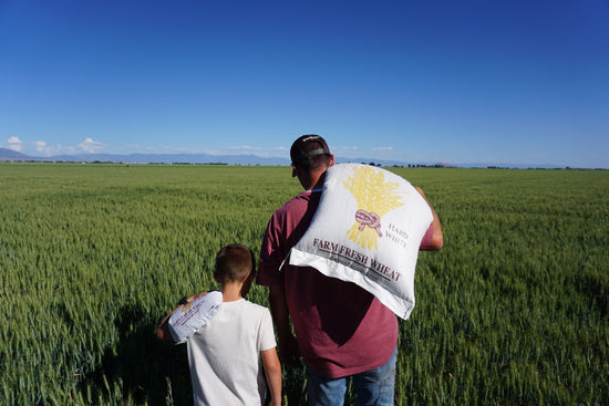 Products – Dave's Farms
